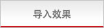 导入效果