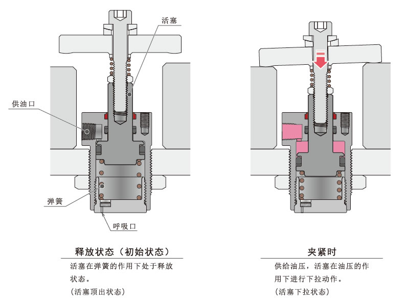 断面構造