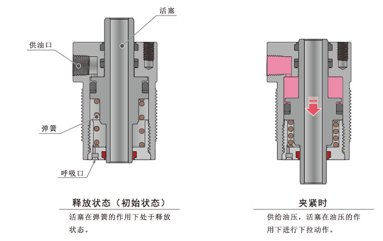 断面構造