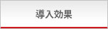 導入効果