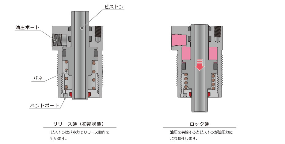 断面構造