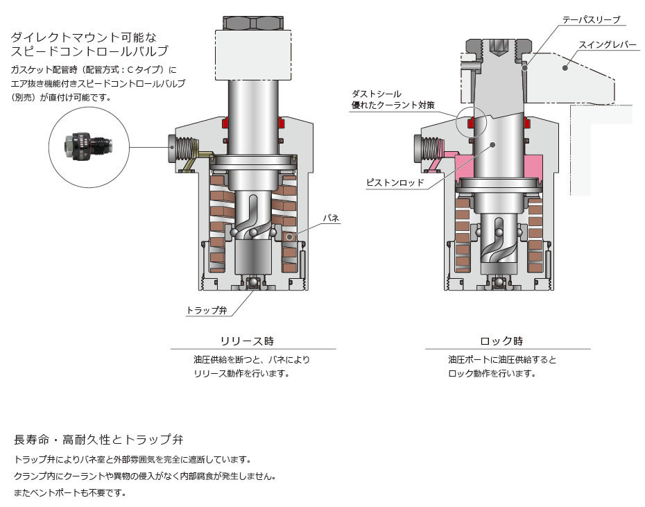 断面構造